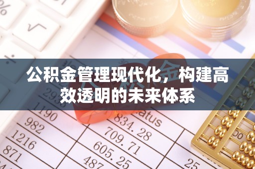 金寨公积金管理现代化，构建高效透明的未来体系